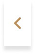 controller_left_sq